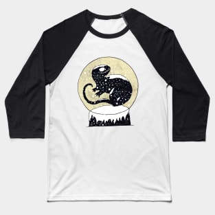 Dinosaur Snowglobe Baseball T-Shirt